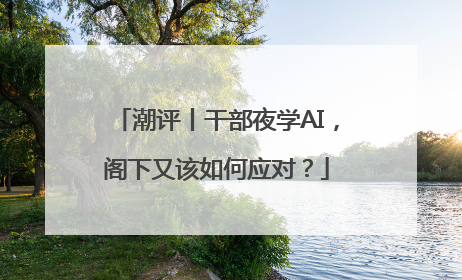 潮评丨干部夜学AI，阁下又该如何应对？