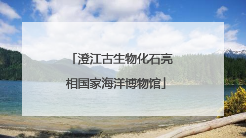 澄江古生物化石亮相国家海洋博物馆