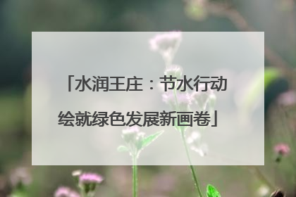 水润王庄：节水行动绘就绿色发展新画卷