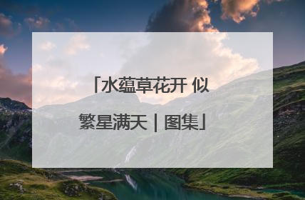 水蕴草花开 似繁星满天｜图集