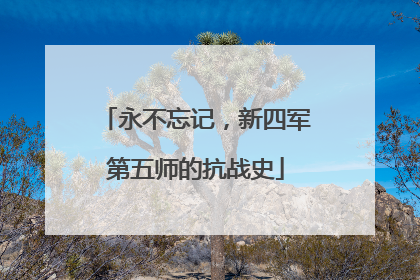 永不忘记，新四军第五师的抗战史