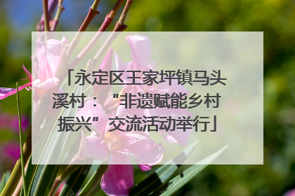 永定区王家坪镇马头溪村：“非遗赋能乡村振兴”交流活动举行