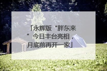永辉版“胖东来”今日丰台亮相，月底前再开一家