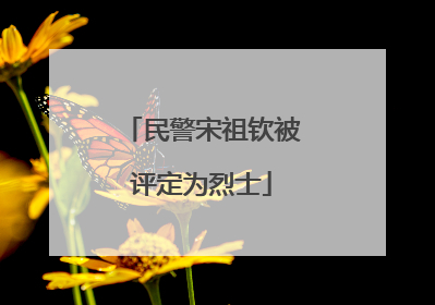 民警宋祖钦被评定为烈士