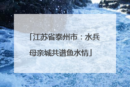 江苏省泰州市：水兵母亲城共谱鱼水情