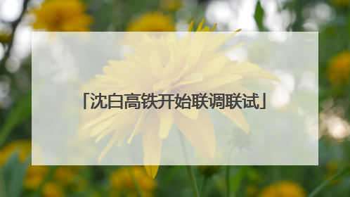 沈白高铁开始联调联试
