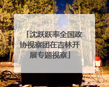 沈跃跃率全国政协视察团在吉林开展专题视察
