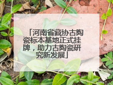 河南省藏协古陶瓷标本基地正式挂牌，助力古陶瓷研究新发展