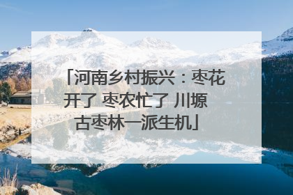 河南乡村振兴：枣花开了 枣农忙了 川塬古枣林一派生机