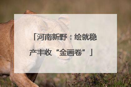 河南新野：绘就稳产丰收“金画卷”
