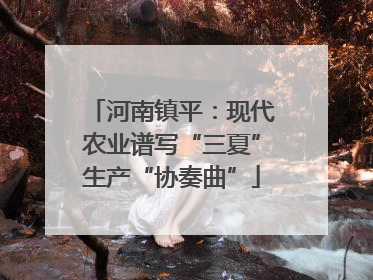 河南镇平：现代农业谱写“三夏”生产“协奏曲”