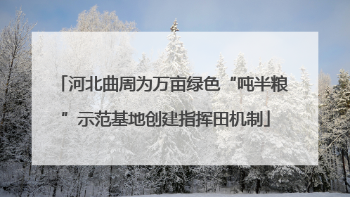 河北曲周为万亩绿色“吨半粮”示范基地创建指挥田机制