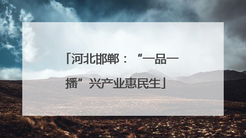 河北邯郸：“一品一播”兴产业惠民生