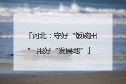 河北：守好“饭碗田” 用好“发展地”