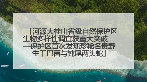 河源大桂山省级自然保护区生物多样性调查获重大突破——保护区首次发现珍稀名贵野生干巴菌与钝尾两头蛇