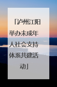 泸州江阳举办未成年人社会支持体系共建活动