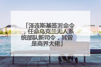 泽连斯基签署命令，任命乌克兰无人系统部队新司令，其曾是商界大佬