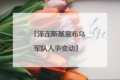 泽连斯基宣布乌军队人事变动