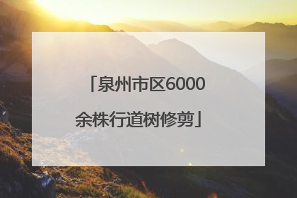 泉州市区6000余株行道树修剪
