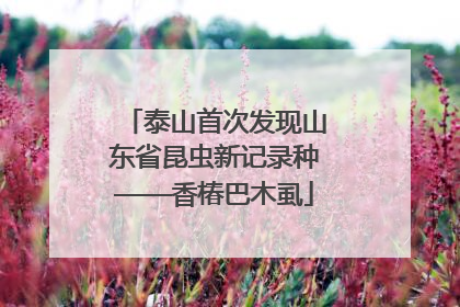 泰山首次发现山东省昆虫新记录种——香椿巴木虱