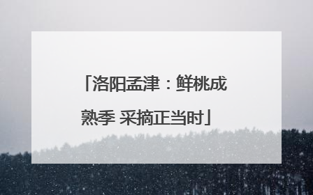 洛阳孟津：鲜桃成熟季 采摘正当时