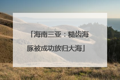海南三亚：糙齿海豚被成功放归大海