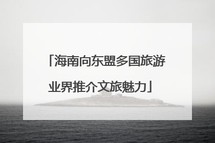 海南向东盟多国旅游业界推介文旅魅力