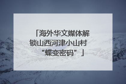 海外华文媒体解锁山西河津小山村“蝶变密码”