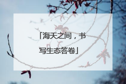 海天之间，书写生态答卷