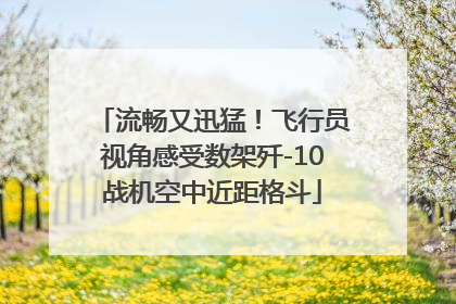 流畅又迅猛！飞行员视角感受数架歼-10战机空中近距格斗