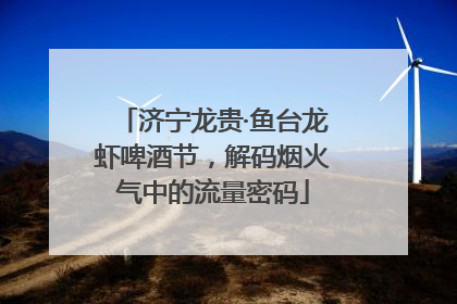 济宁龙贵·鱼台龙虾啤酒节，解码烟火气中的流量密码