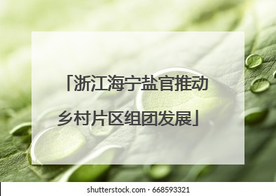 浙江海宁盐官推动乡村片区组团发展