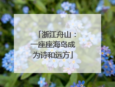 浙江舟山：一座座海岛成为诗和远方