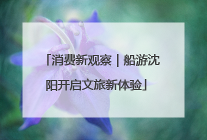 消费新观察｜船游沈阳开启文旅新体验