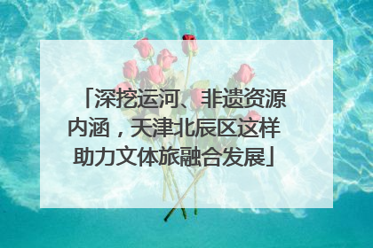 深挖运河、非遗资源内涵，天津北辰区这样助力文体旅融合发展