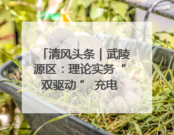 清风头条｜武陵源区：理论实务“双驱动 ” 充电赋能“增才干”