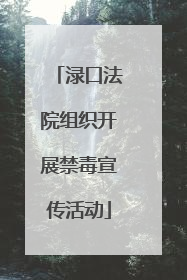 渌口法院组织开展禁毒宣传活动