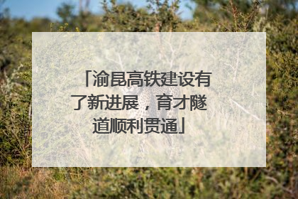 渝昆高铁建设有了新进展，育才隧道顺利贯通