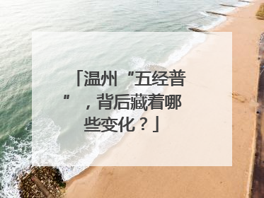 温州“五经普”，背后藏着哪些变化？