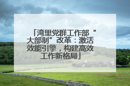 湾里党群工作部“大部制”改革：激活效能引擎，构建高效工作新格局