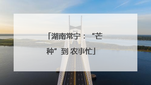 湖南常宁：“芒种”到 农事忙