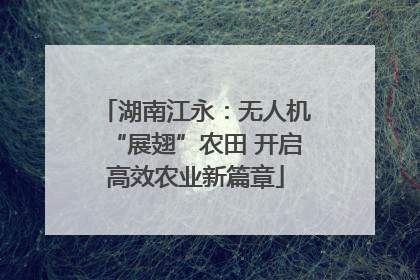 湖南江永：无人机“展翅”农田 开启高效农业新篇章