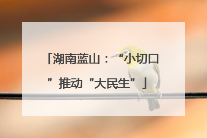 湖南蓝山：“小切口”推动“大民生”