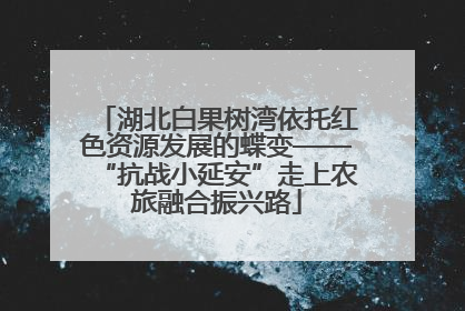 湖北白果树湾依托红色资源发展的蝶变——“抗战小延安”走上农旅融合振兴路