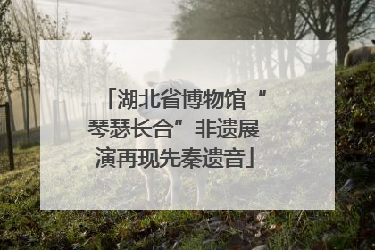 湖北省博物馆“琴瑟长合”非遗展演再现先秦遗音