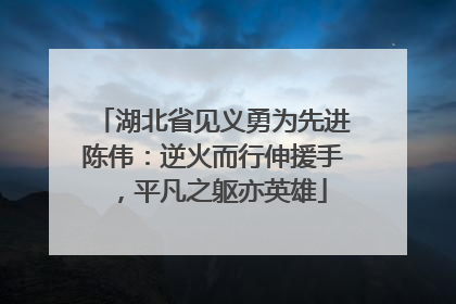 湖北省见义勇为先进陈伟：逆火而行伸援手，平凡之躯亦英雄