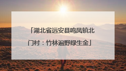 湖北省远安县鸣凤镇北门村：竹林遍野绿生金