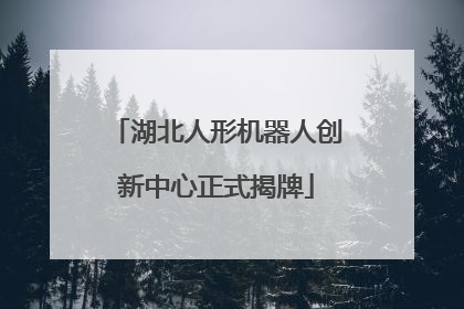 湖北人形机器人创新中心正式揭牌