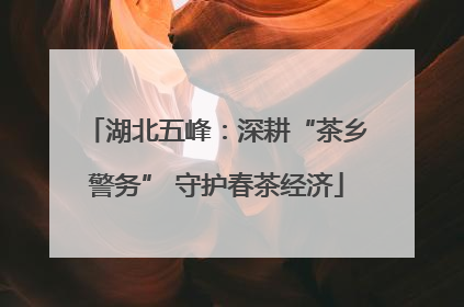 湖北五峰：深耕“茶乡警务” 守护春茶经济