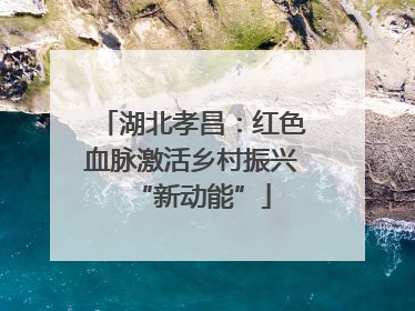 湖北孝昌：红色血脉激活乡村振兴“新动能”